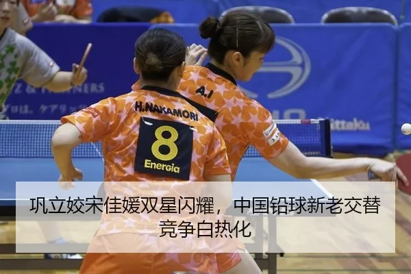gong-li-jiao-song-jia-yuan-shuang-xing-shan-yao-zhong-guo-qian-qiu-xin-lao-jiao-ti-jing-zheng-bai-re-hua-3-922.jpg