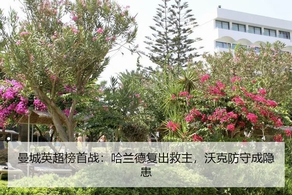 曼城英超榜首战：哈兰德复出救主，沃克防守成隐患
