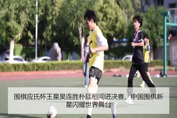 wei-qi-ying-shi-bei-wang-xing-hao-lian-sheng-pu-ting-huan-chuang-jin-jue-sai-zhong-guo-wei-qi-xin-xing-shan-yao-shi-jie-2-350.jpg