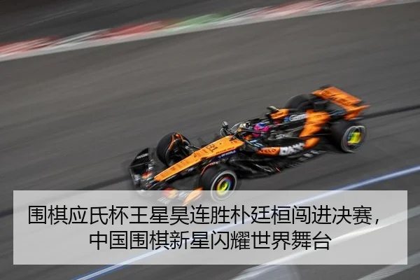 wei-qi-ying-shi-bei-wang-xing-hao-lian-sheng-pu-ting-huan-chuang-jin-jue-sai-zhong-guo-wei-qi-xin-xing-shan-yao-shi-jie-3-821.jpg