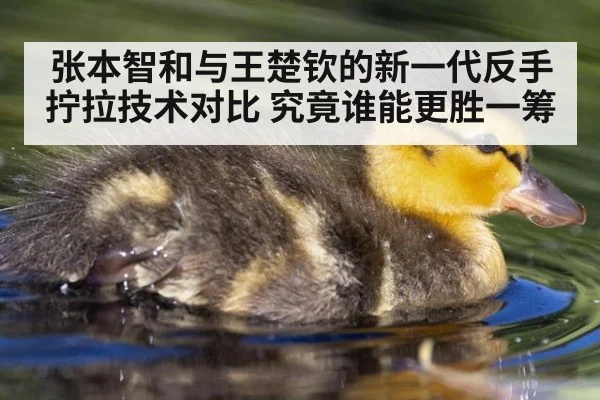 张本智和与王楚钦的新一代反手拧拉技术对比 究竟谁能更胜一筹
